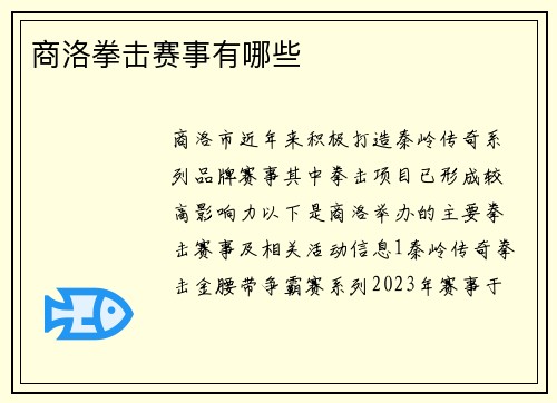 商洛拳击赛事有哪些